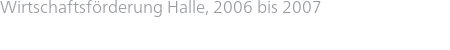 Wirtschaftsförderung Halle, 2006 bis 2007