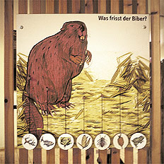 Webdesign Biosphärenreservat Mittelelbe