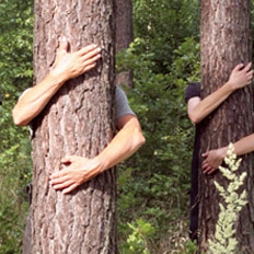 Webdesign Ministerium für Ländliche Entwicklung, Umwelt und Verbraucherschutz 