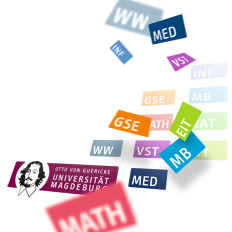 Webdesign Otto-von-Guericke-Universität Magdeburg