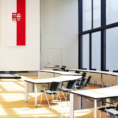 Webdesign Stadt Zwickau