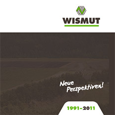 Webdesign Wismut