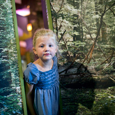 Webdesign Nationalparkverwaltung Bayerischer Wald